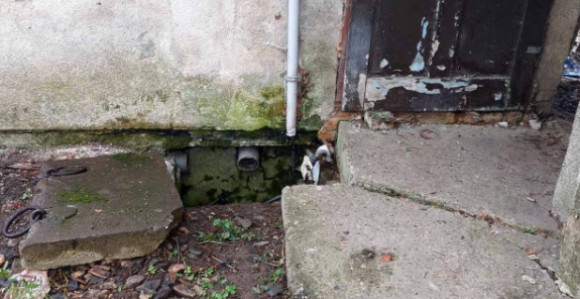 Pronađeno beživotno tijelo u šahtu kod autobuske stanice