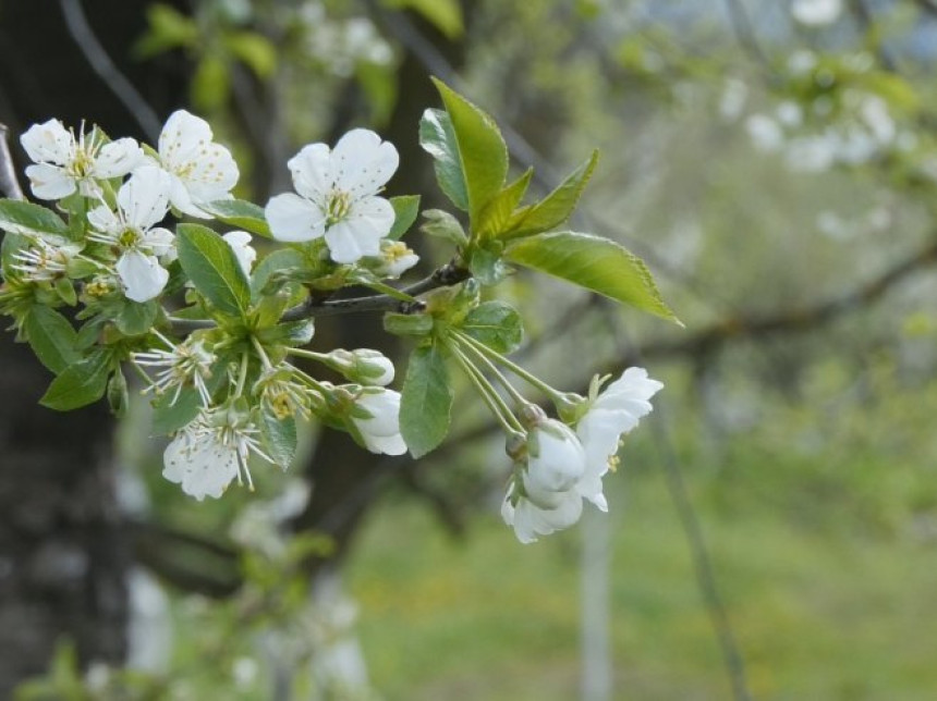 Током викенда сунчано и топло, уз малу облачност