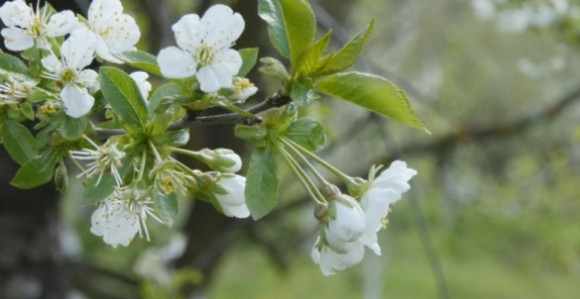 Tokom vikenda sunčano i toplo, uz malu oblačnost