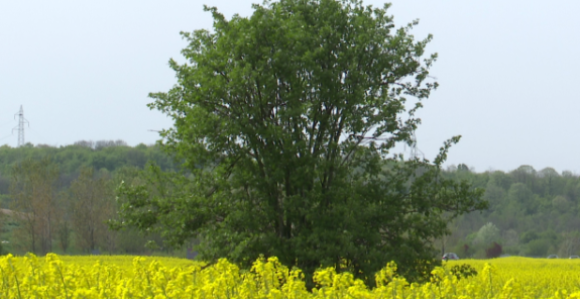 Облачно и свјежије вријеме са кишом, на југу до 22°Ц