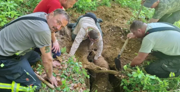 Драма у Хрватској: Кобила и власник упали у јаму