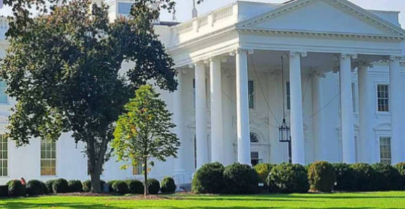 Бијела кућа оптужила Кину за крађу америчких модела АИ