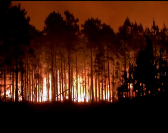 Požari pustoše Džordžiju: Izgorjelo 120 kuća