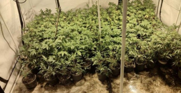 Ухапшена млађа жена, пронађено пет лабораторија