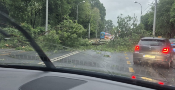 Nevrijeme stiglo u Zagreb: Padala stabla, stali tramvaji