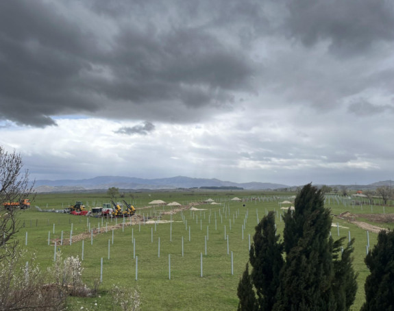 Zajednička borba protiv izgradnje solarnih elektrana