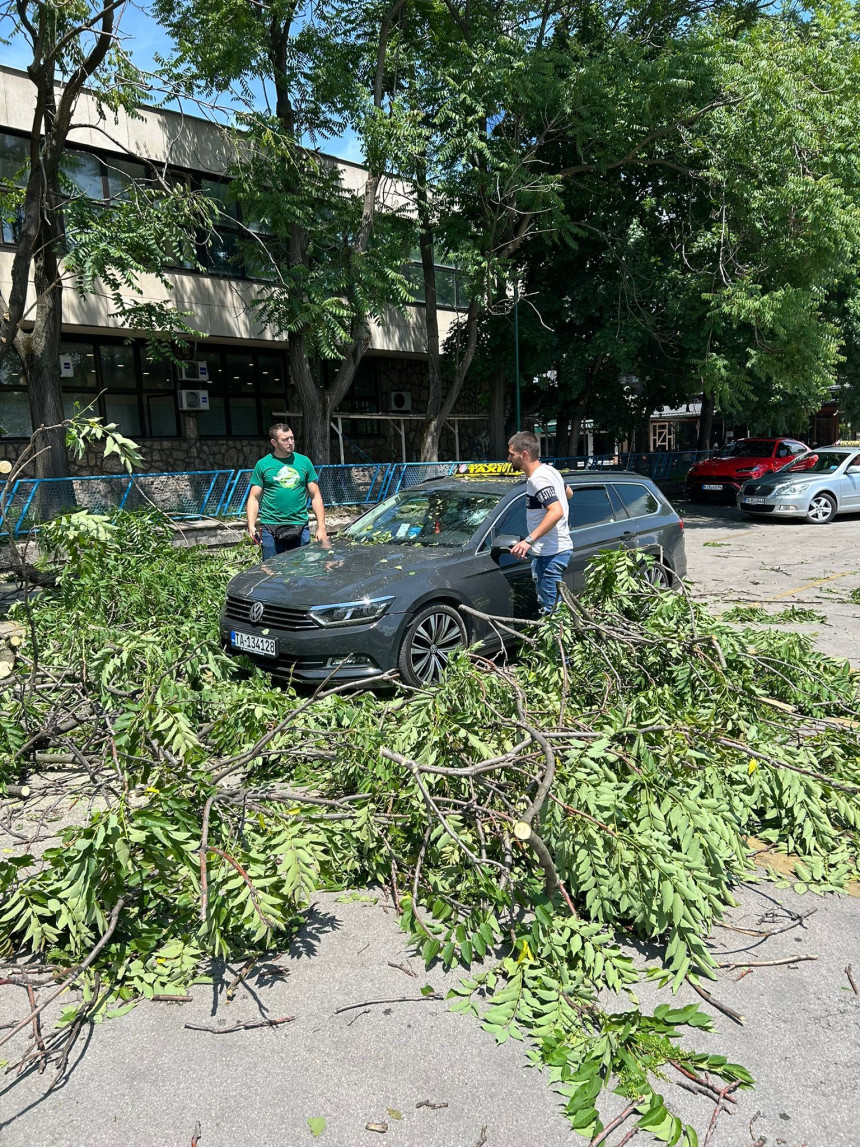 Nevrijeme rušilo stabla, jedno palo na taksi vozilo