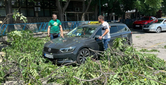 Nevrijeme rušilo stabla, jedno palo na taksi vozilo