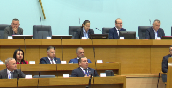 Ko bi mogao u fotelju Anje Ljubojević u Narodnoj skupštini?