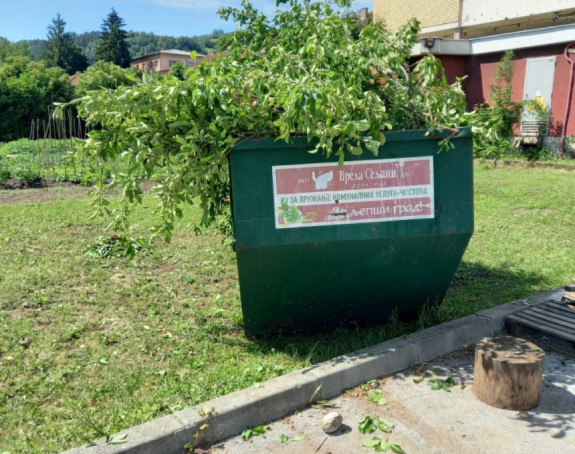 Rogatica: Posječeno još pet stabala u dvorištu zgrade