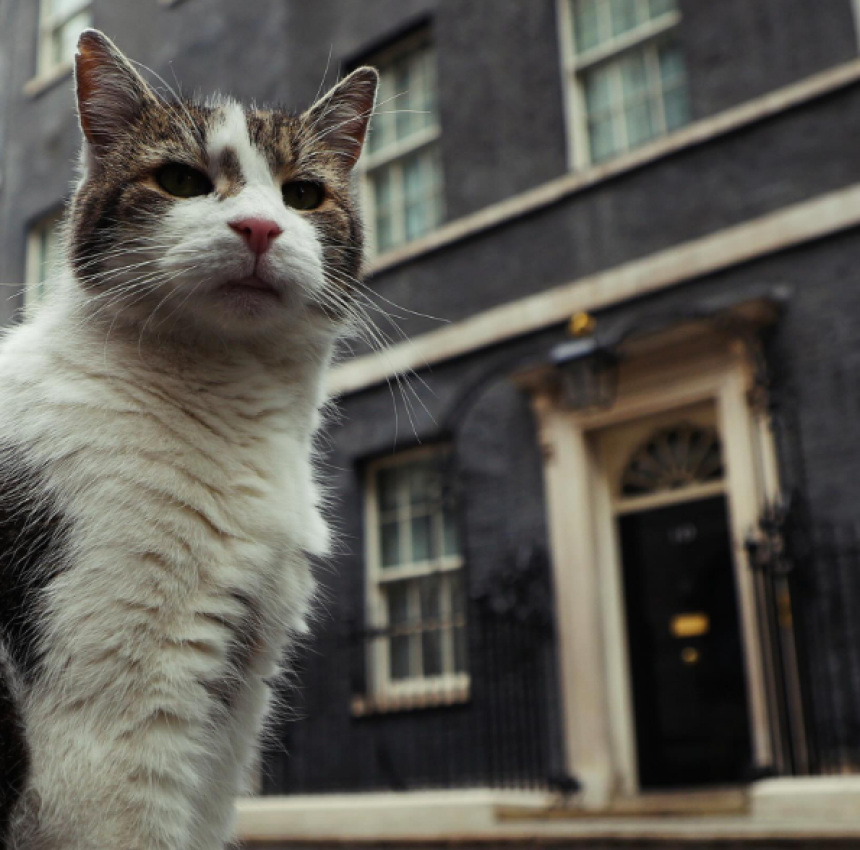 Lari ispratio i šestog britanskog premijera, čeka sedmog (FOTO)