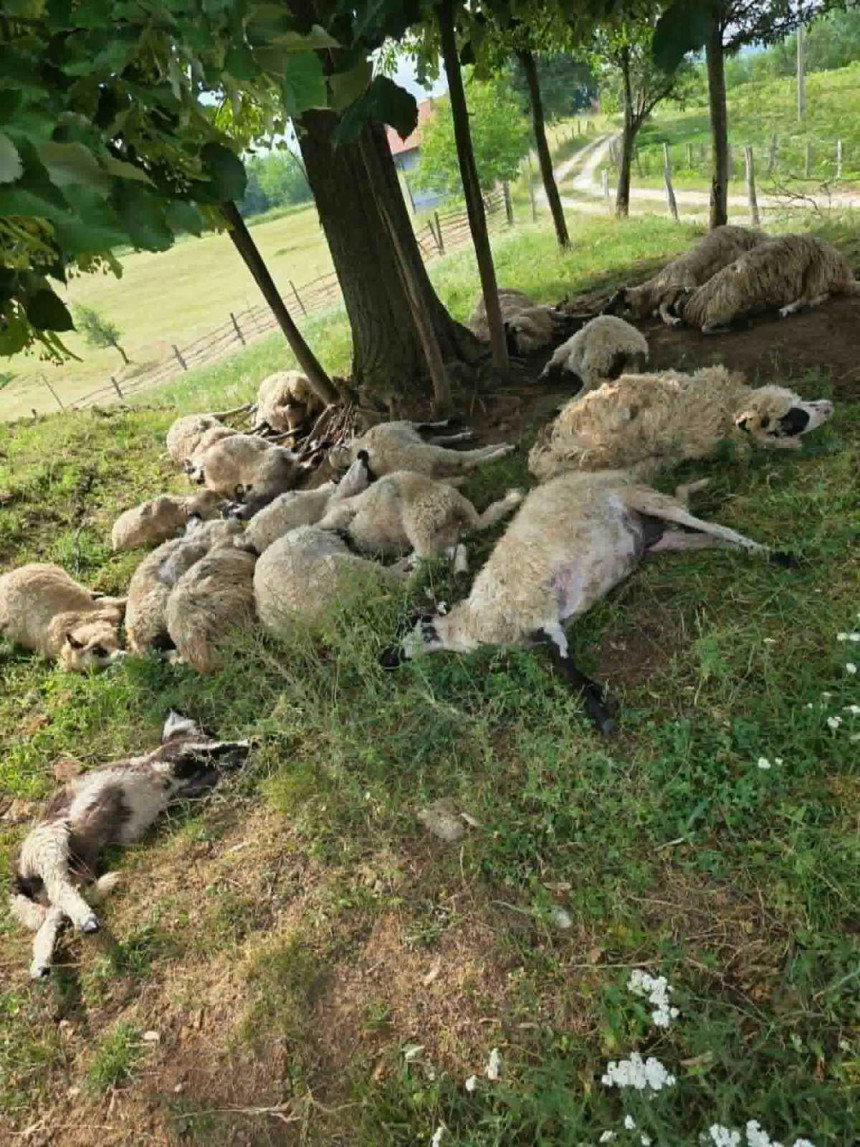 Prava solidarnost na djelu: Komšije pritekle u pomoć