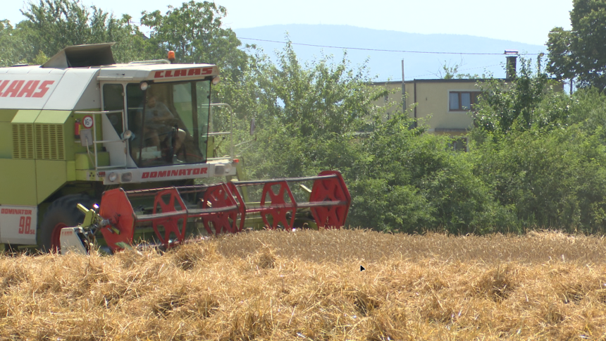 Otkupna cijena pšenice mora biti minimum 0,45 KM
