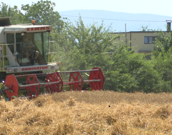 Otkupna cijena pšenice mora biti minimum 45 feninga