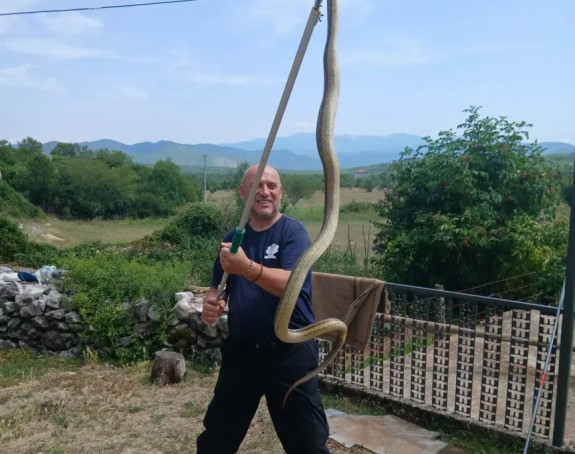 Trebinjac Mišo Pamučina ulovio zvijer dužu od dva metra