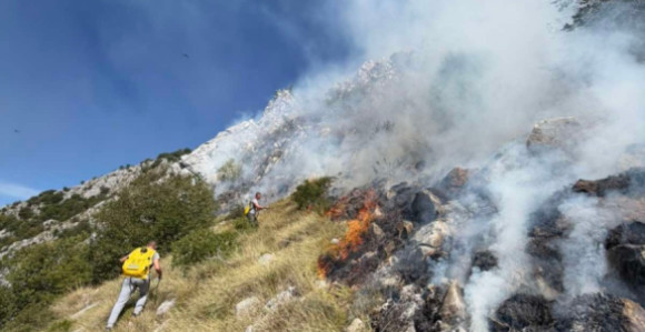 Avioni-kanaderi gase požar iznad Dizdarice kod Herceg Novog