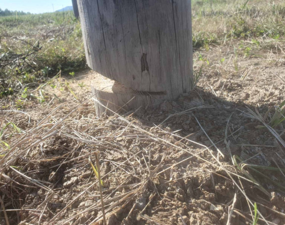Mještani Podnovlja spriječili sječenje bilborda (VIDEO/FOTO)