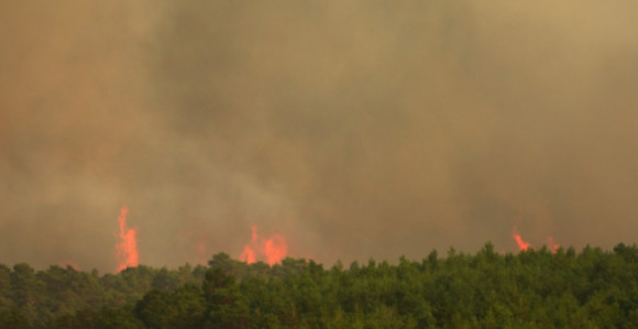 Požari u Španiji i Francuskoj: Hiljade ljudi evakuisano, stiže novi toplotni talas!