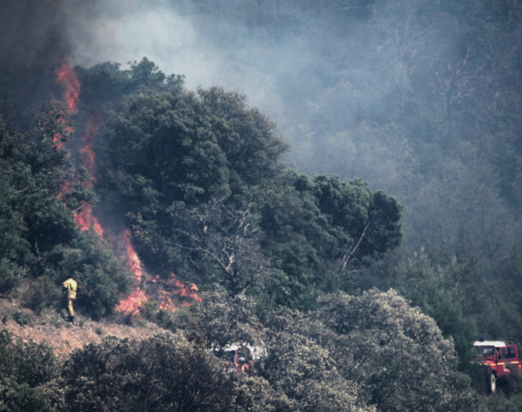 Gore hektari šume, angažovani i helikopteri MUP-a Srbije