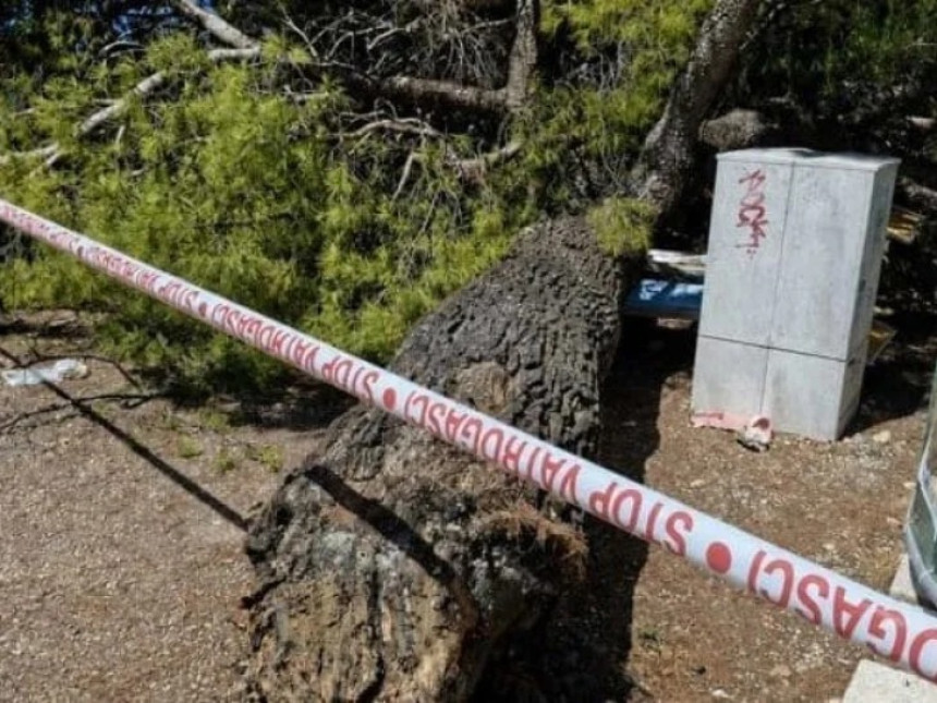 Stablo palo na plaži u Hrvatskoj, povrijeđeno četvoro