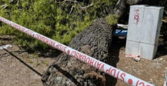 Stablo palo na plaži u Hrvatskoj, povrijeđeno četvoro