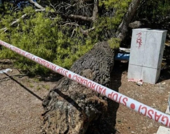 Stablo palo na plaži u Hrvatskoj, povrijeđeno četvoro