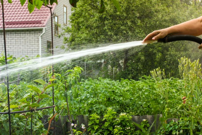 Ovo je 8 navika koje spašavaju baštu na plus 35
