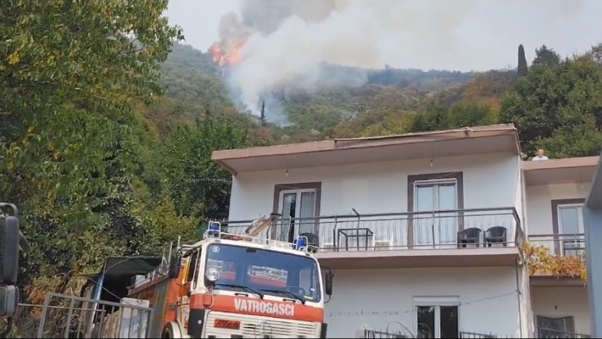 Пожар код Херцег Новог се шири, ватру гасе и хеликоптери