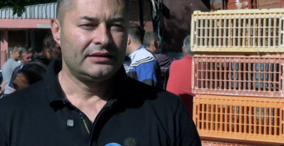 Strašno da se elektrodistribucija bavi živinarstvom!