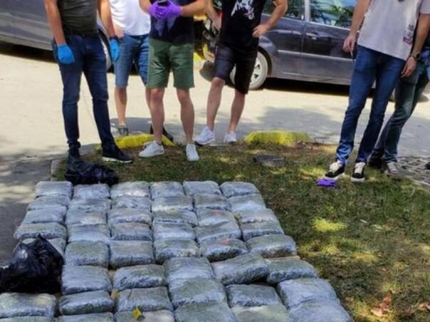 Akcija FUP-a : Zaplijenjena 73 kilograma marihuane
