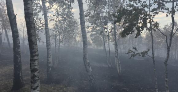 Активна жаришта у БиХ и С. Македонији, у ЦГ под контролом