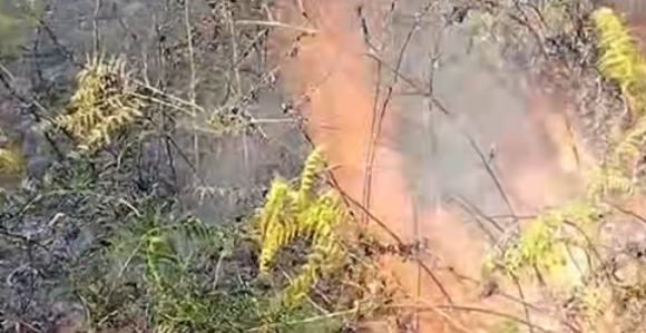 Požar u Osojnici na Ozrenu, gori 200 duluma šume (VIDEO)