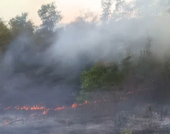 Požar kod Trebinja: Vatra blizu kuća, uključen i helikopter