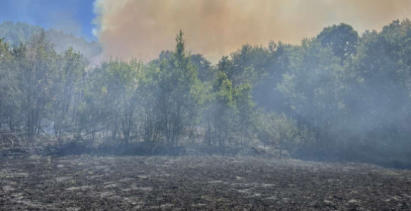 Kamenica kod Zvornika: Požar se spušta prema kućama