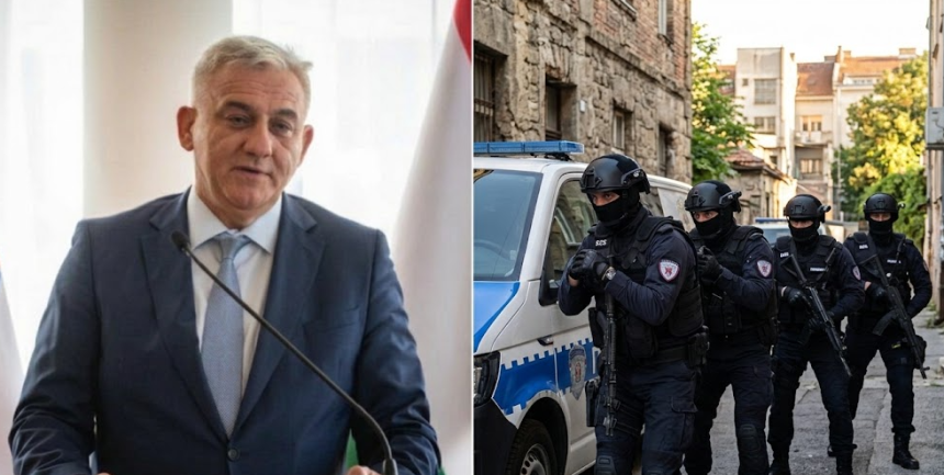 Dr Blagojević: Uspavana javna tužilaštva