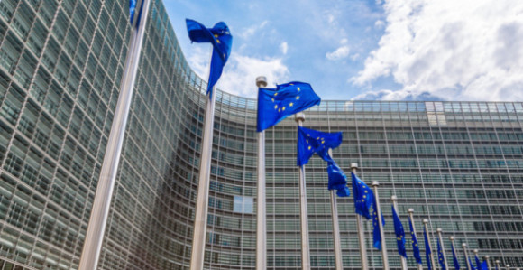 EU: Ispraćaj Ratka Mladića protekao bez državnih počasti