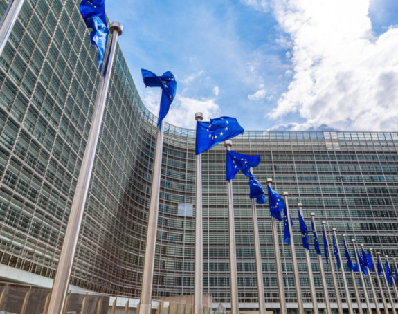 EU: Ispraćaj Ratka Mladića protekao bez državnih počasti