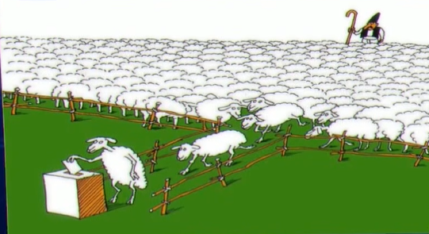 Od koka do ovaca: Kako se u Palama kupuju glasovi?