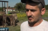 Апсурд у Добоју: Због „анонимне дојаве“ инспекција у контроли магарећег млијека које је до скоро хвалио и прорежимски РТРС