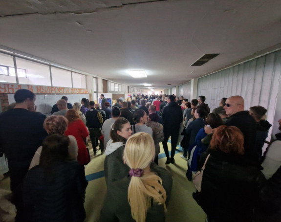 Dimitrijević: Izbori u Srbiji protiču u najboljem redu