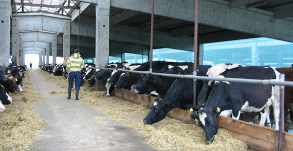 Radnici od Uprave dobili izvinjenje