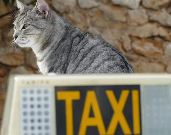 Zbog akciza gasi se 'pet taxi' u BL