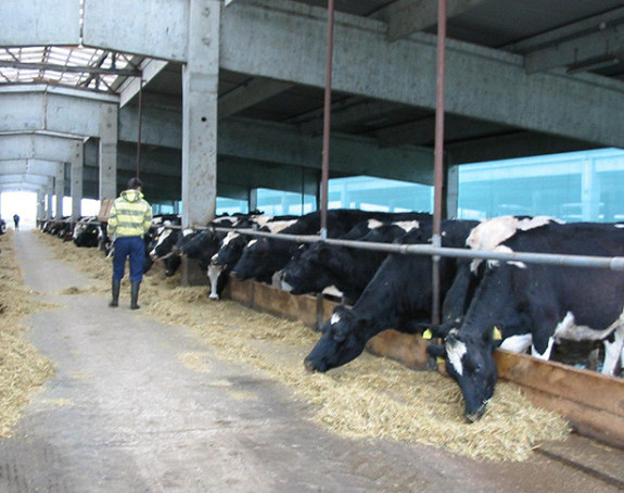 Radnici od Uprave dobili izvinjenje