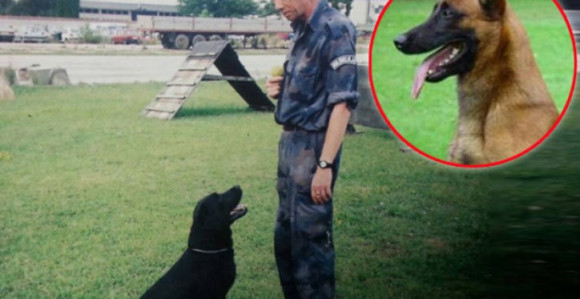 Pas uginuo na dan sahrane svog vodiča