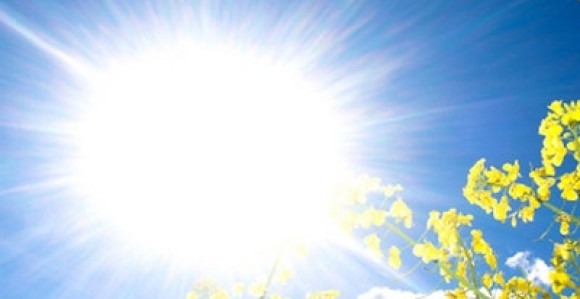 Može se reći da je zima gotova!?