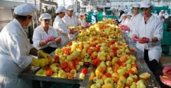 Ugovara se otkup domaćih proizvoda