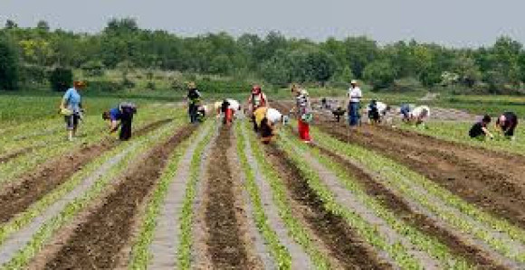 Postići dogovor u korist ratara