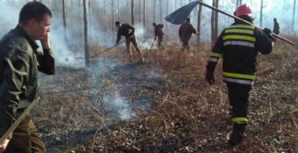 Opet izbio požar na Fruškoj gori