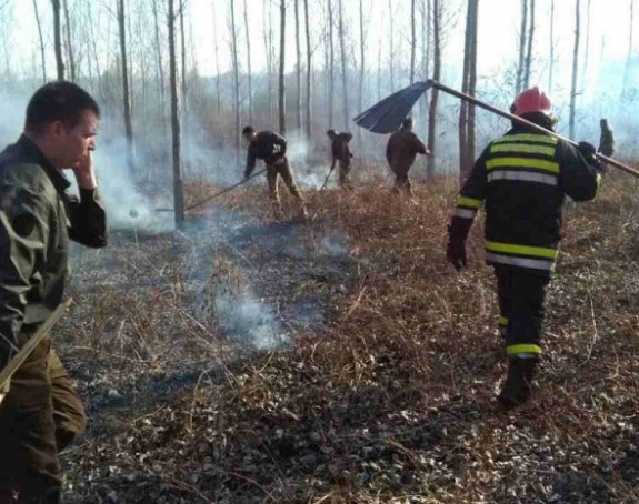 Opet izbio požar na Fruškoj gori