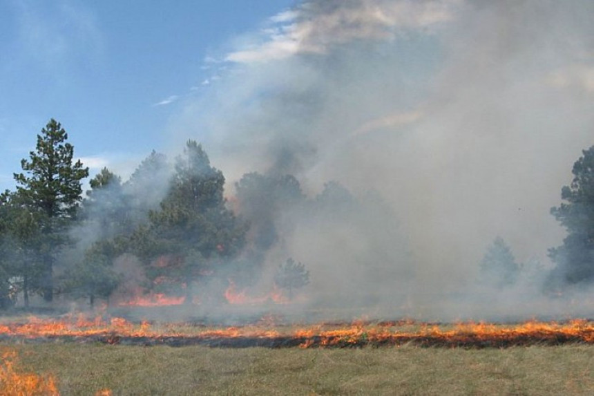 Požari u Srpskoj uzimaju danak
